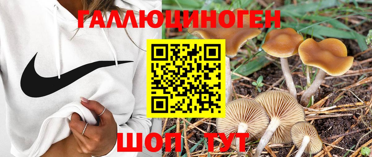 Псилоцибиновые грибы GOLDEN TEACHER  Вход с VPN  Асбест  Псилоцибиновые грибы Magic Shrooms 